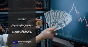 بهترین کیف پول‌های دیجیتال برای هولد کردن بلندمدت کدام اند؟